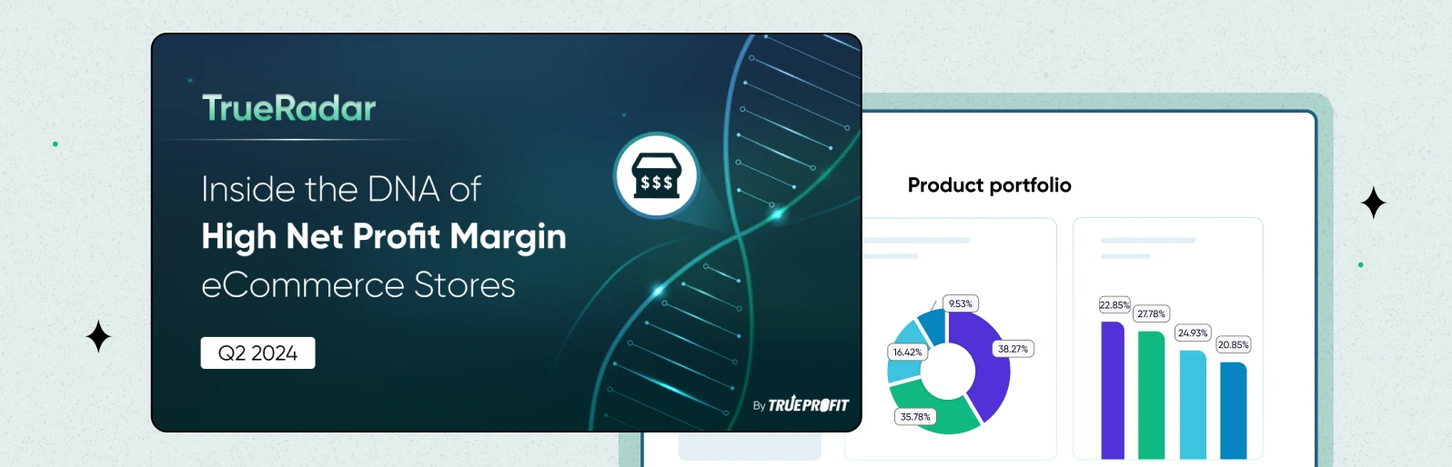TrueRadar Report: Inside The DNA Of High Net Profit Margin eCommerce Stores (Q2 2024)