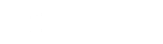 Partner logo 2