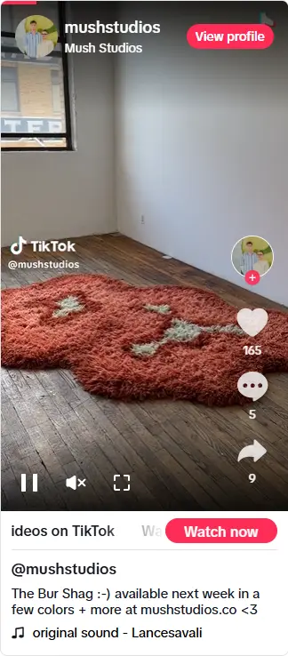 short videos on TikTok