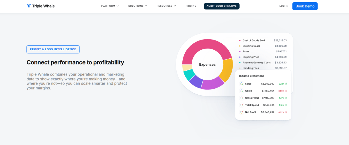 Triple Whale homepage