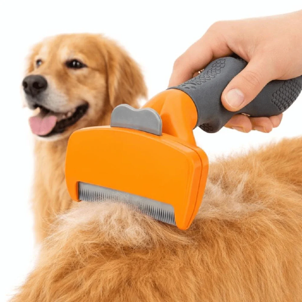 Deshedding brush removing loose fur from a golden retriever