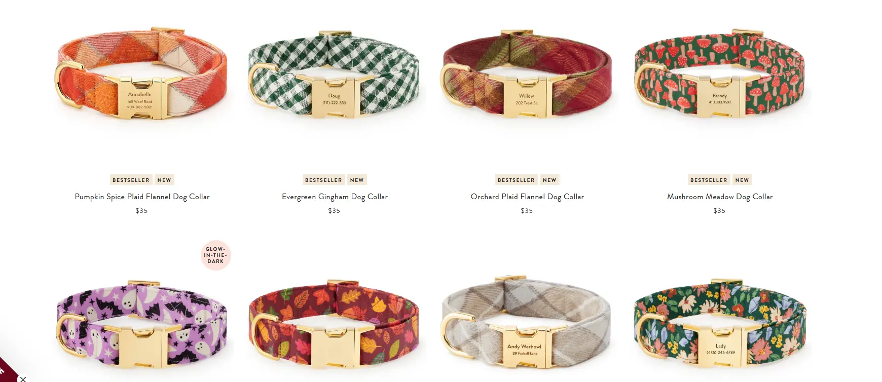 dog collars products example