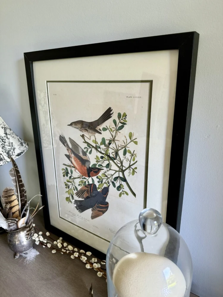 Framed Giclee Prints product examples