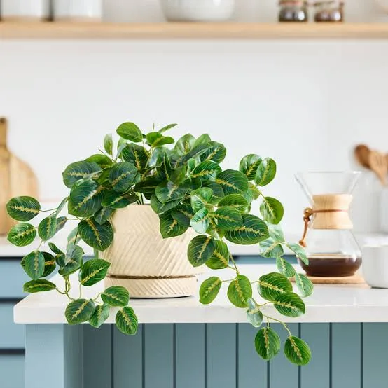 Faux Potted Plants product example