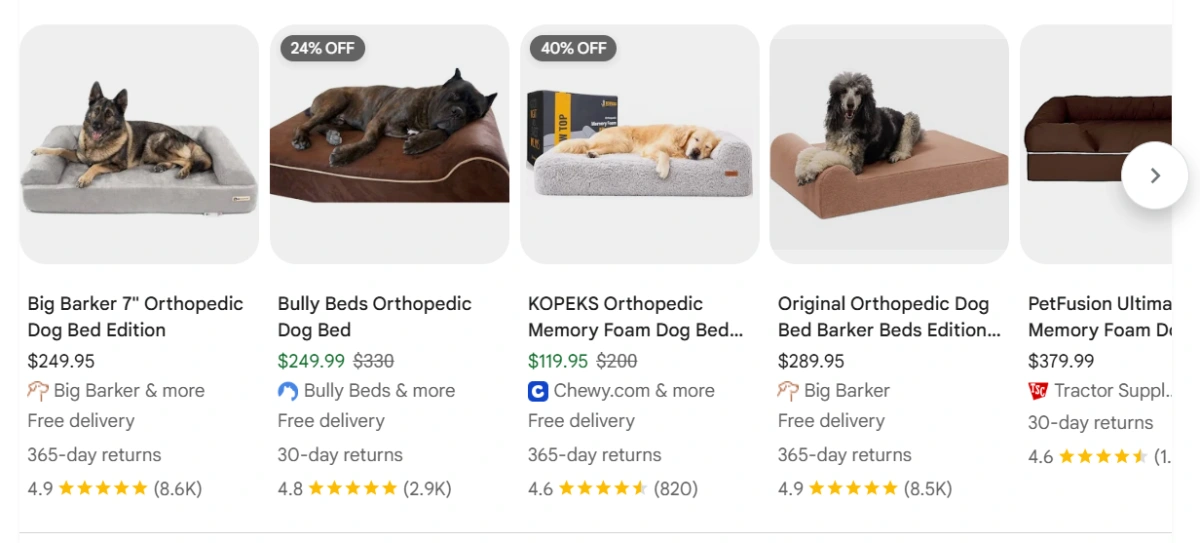 Orthopedic Bed product example