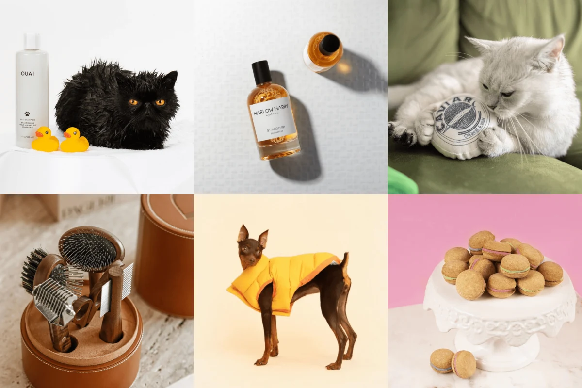 High value pet product examples
