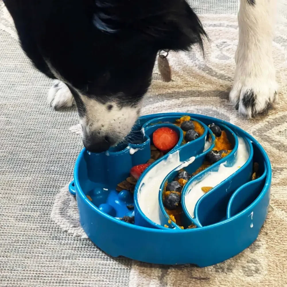 Wellness product for pet example