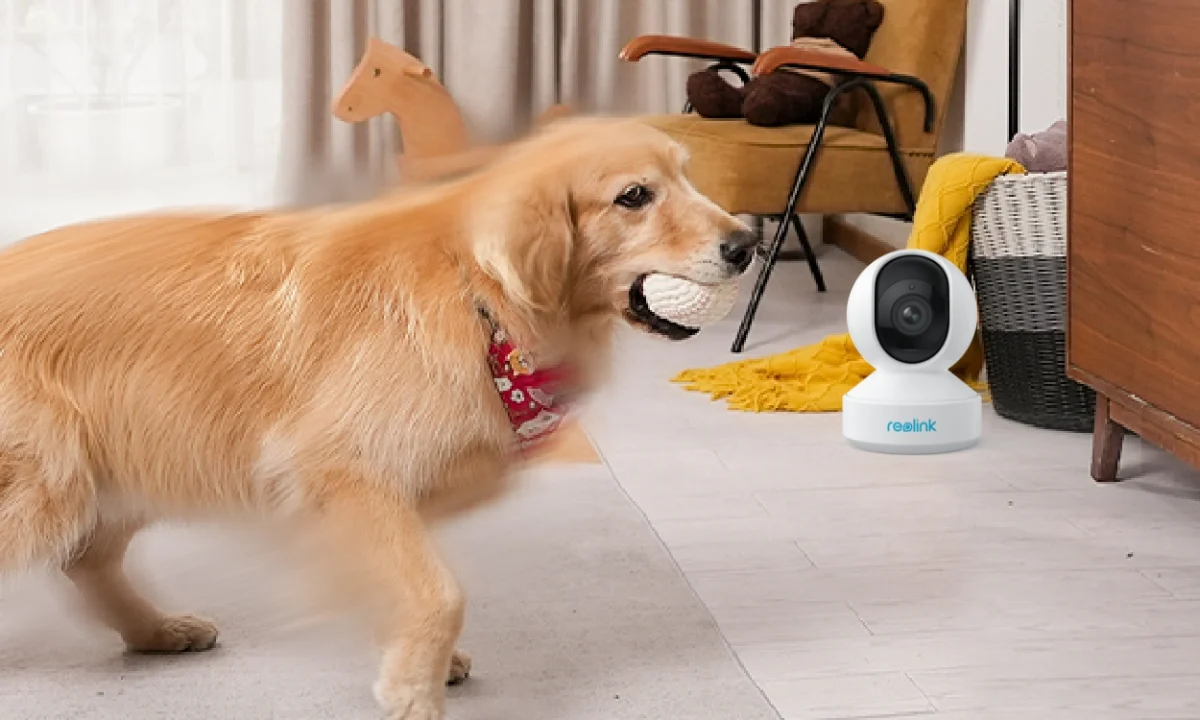 Smart pet camera product