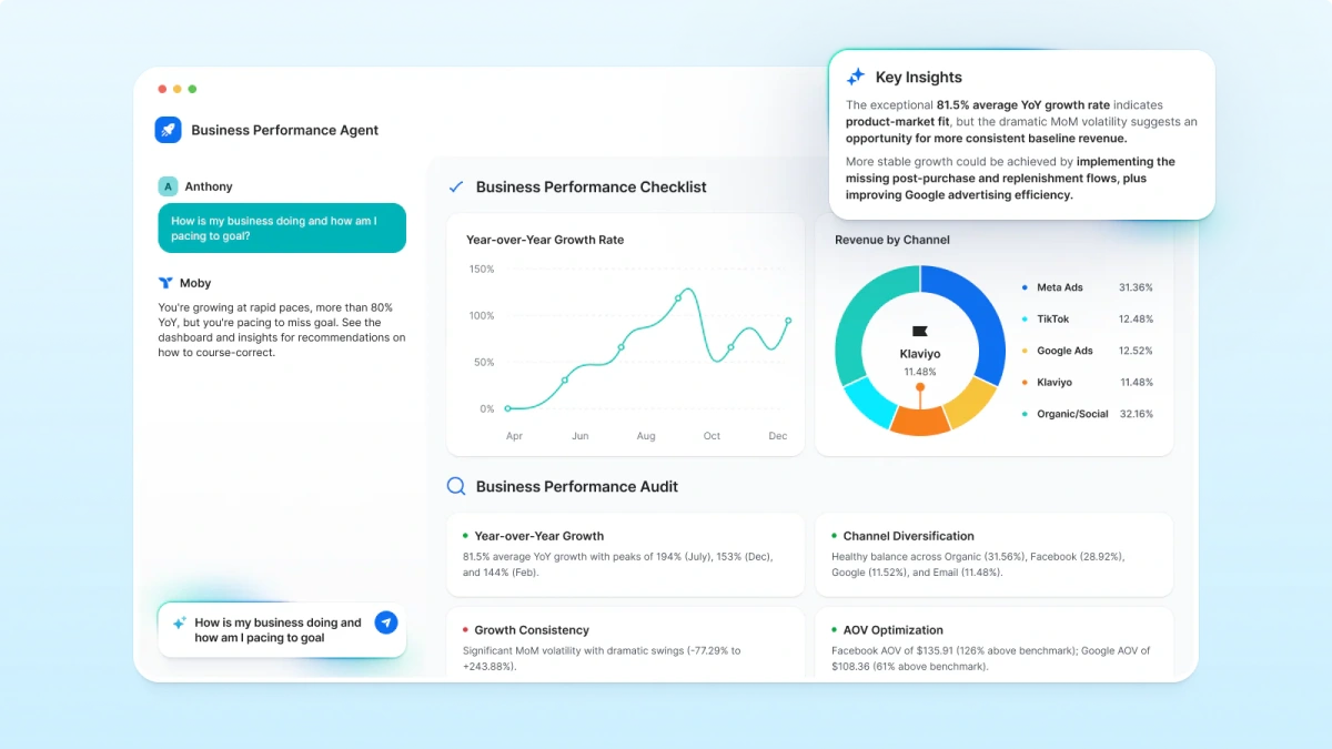 Triple Whale dashboard example