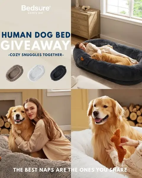 free giveaway campaign