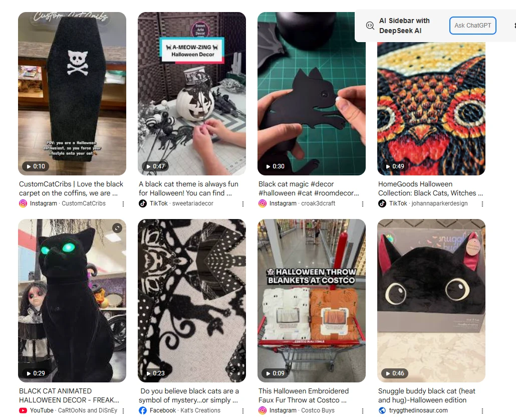 Black cat design printed on merchandise examples