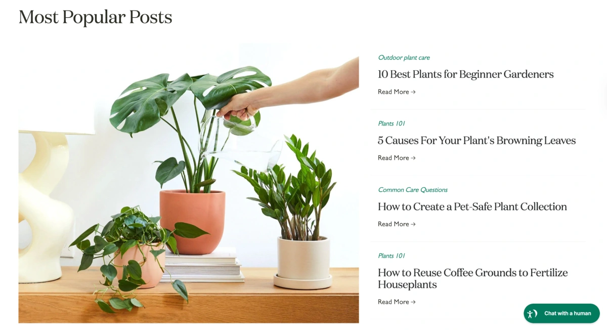 The Sill's Article Category Page
