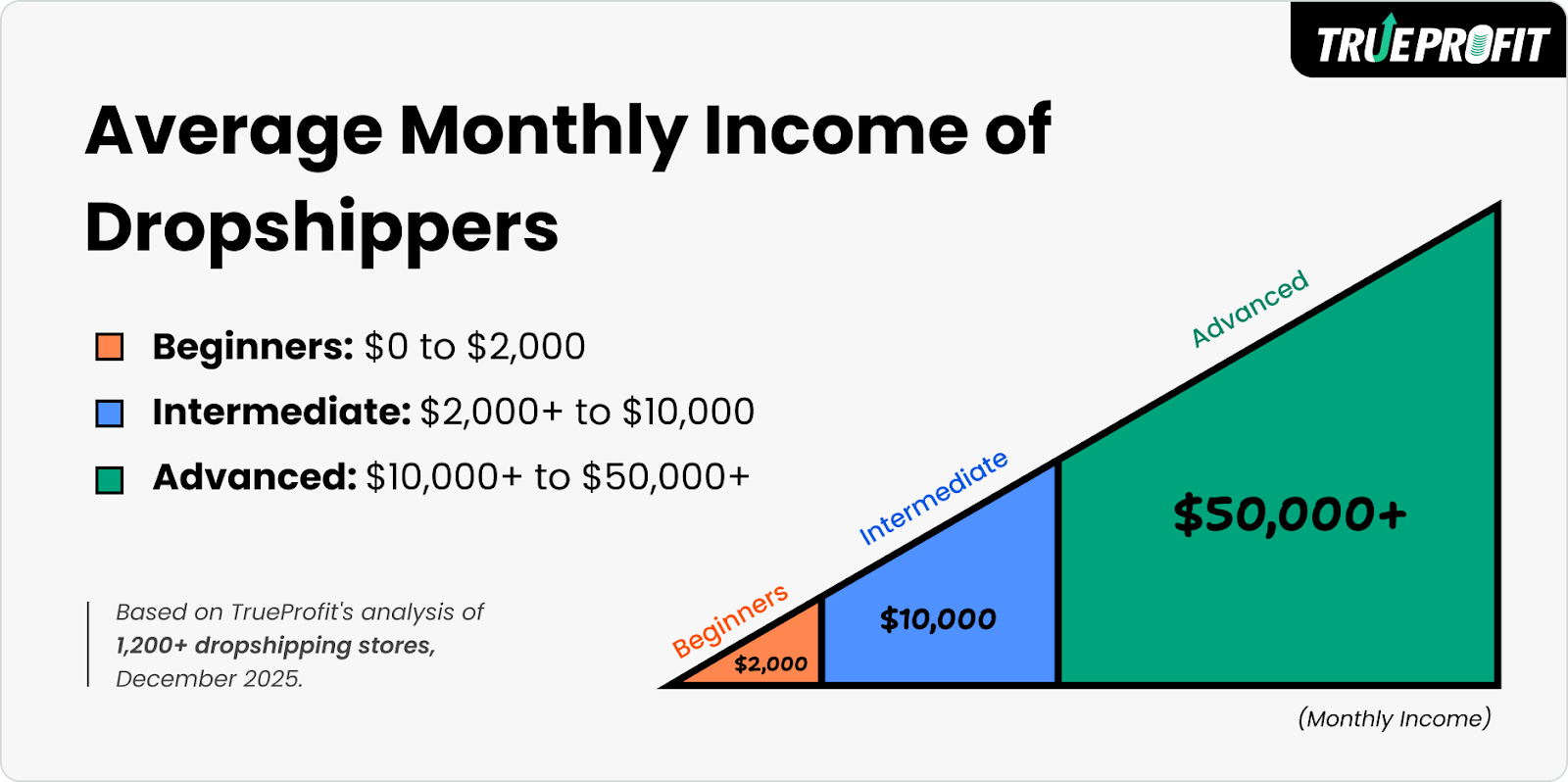 Average income dropshippers make in 2025