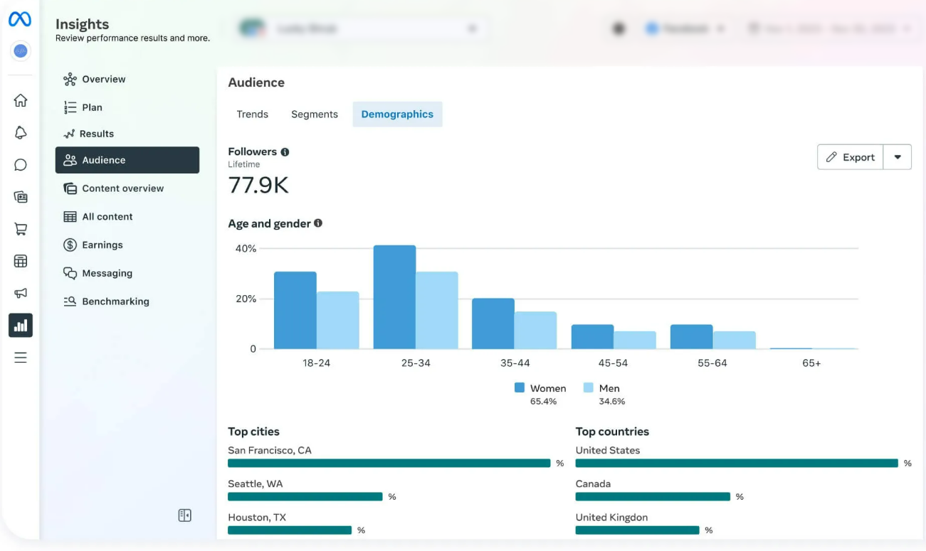 Meta audience insight