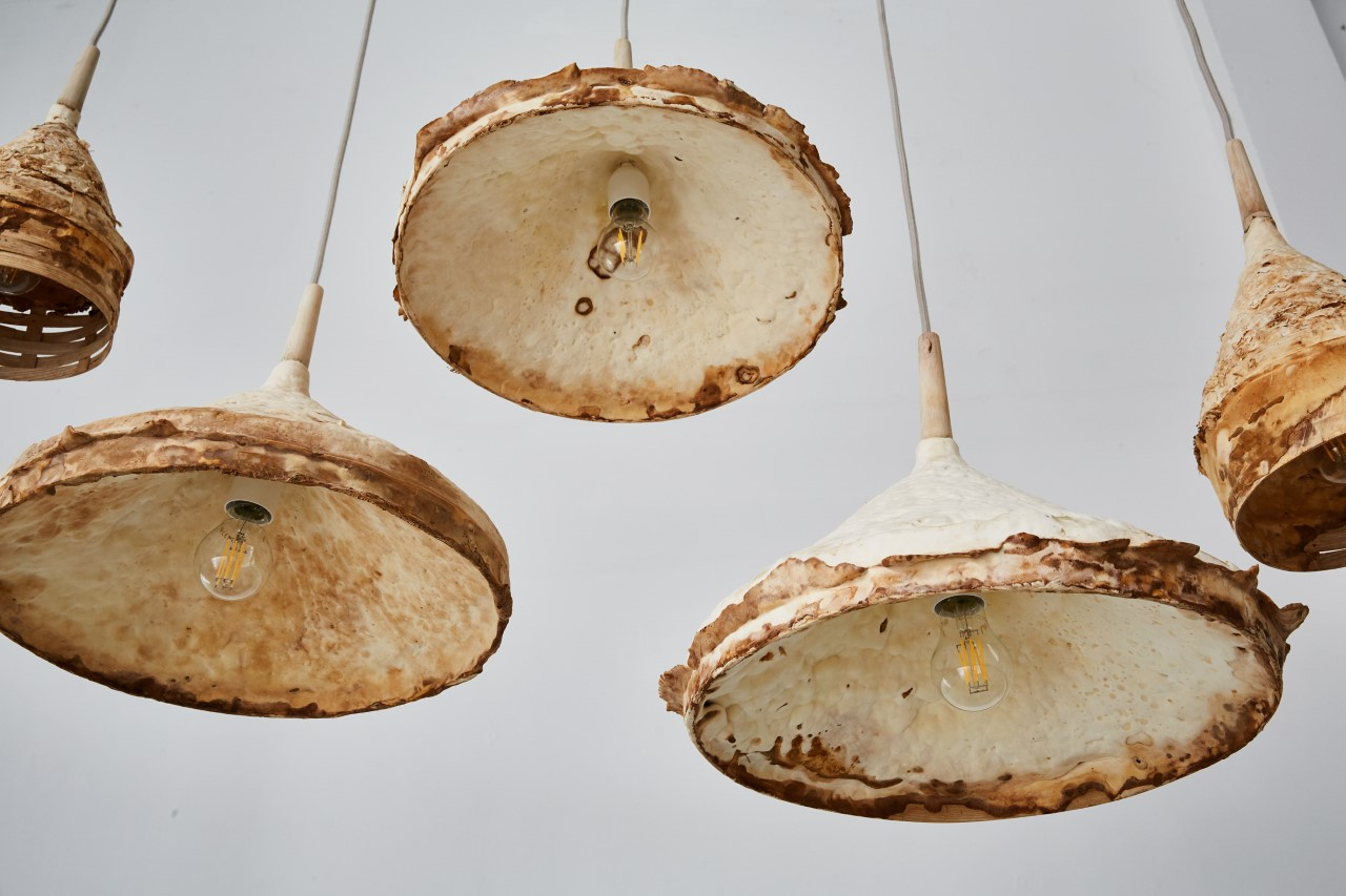 Lampe champignon