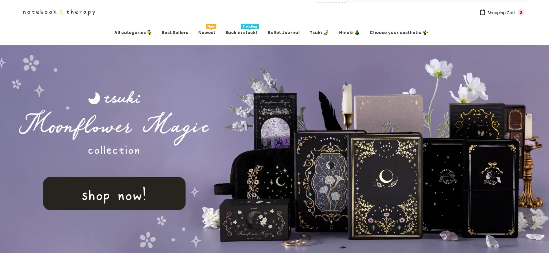 notebook therappy website