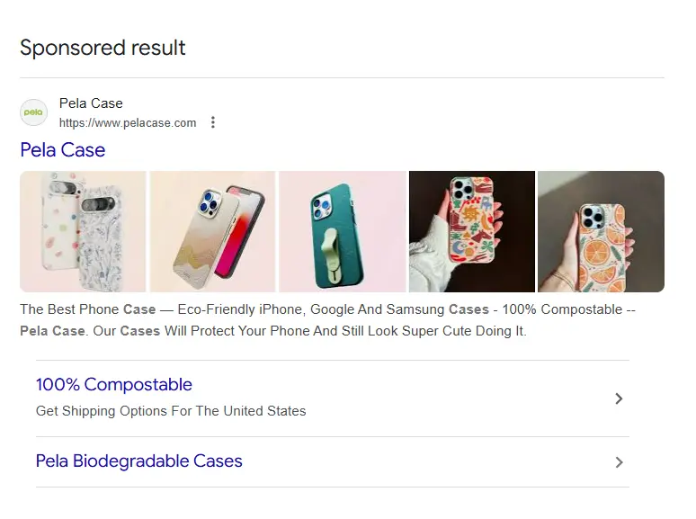 google search ad pela case