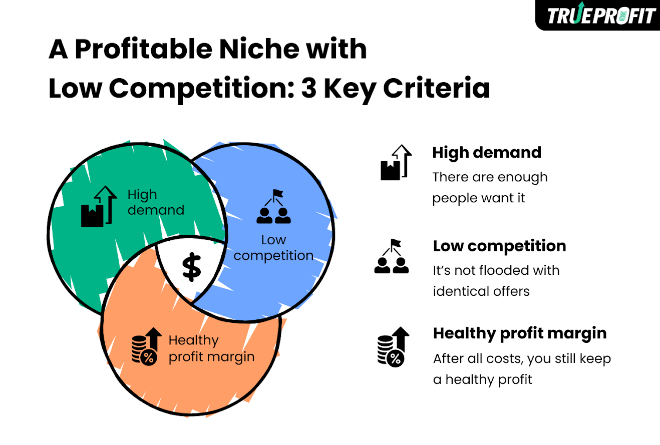 Profitable dropshipping niche