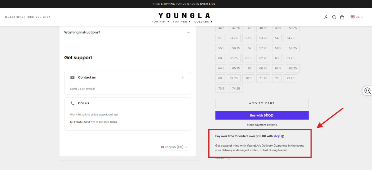 Delivery guarantee shown on a Shopify product page