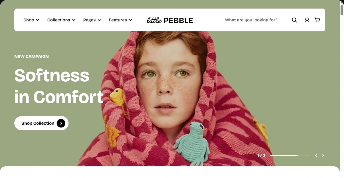 Homepage slideshow banner example