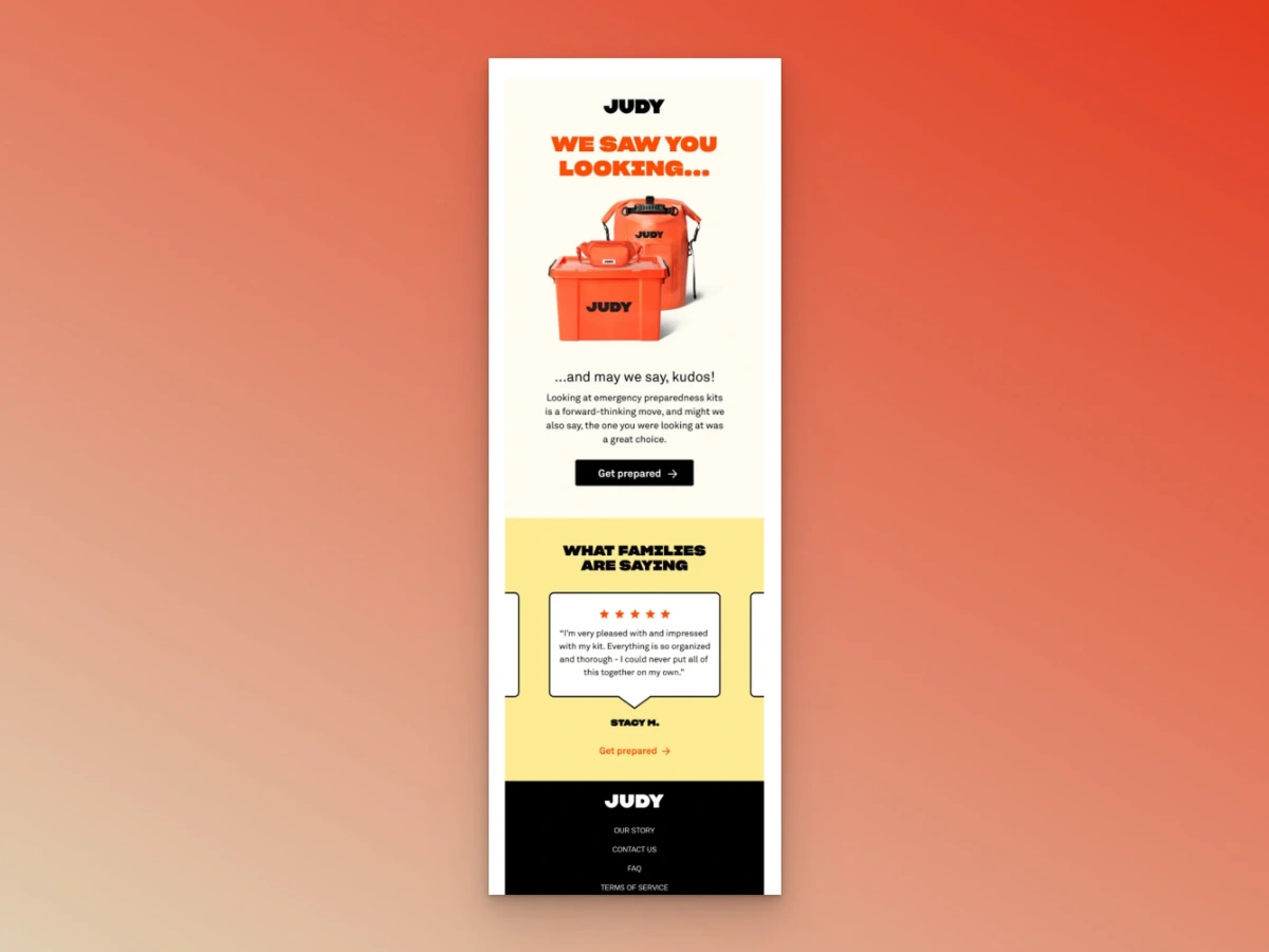 Browse Abandonment email flow example