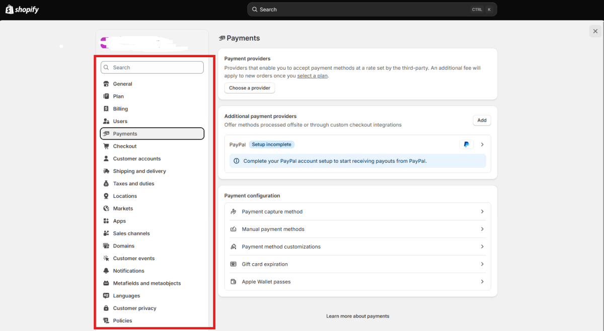 Shopify payments and checkout settings