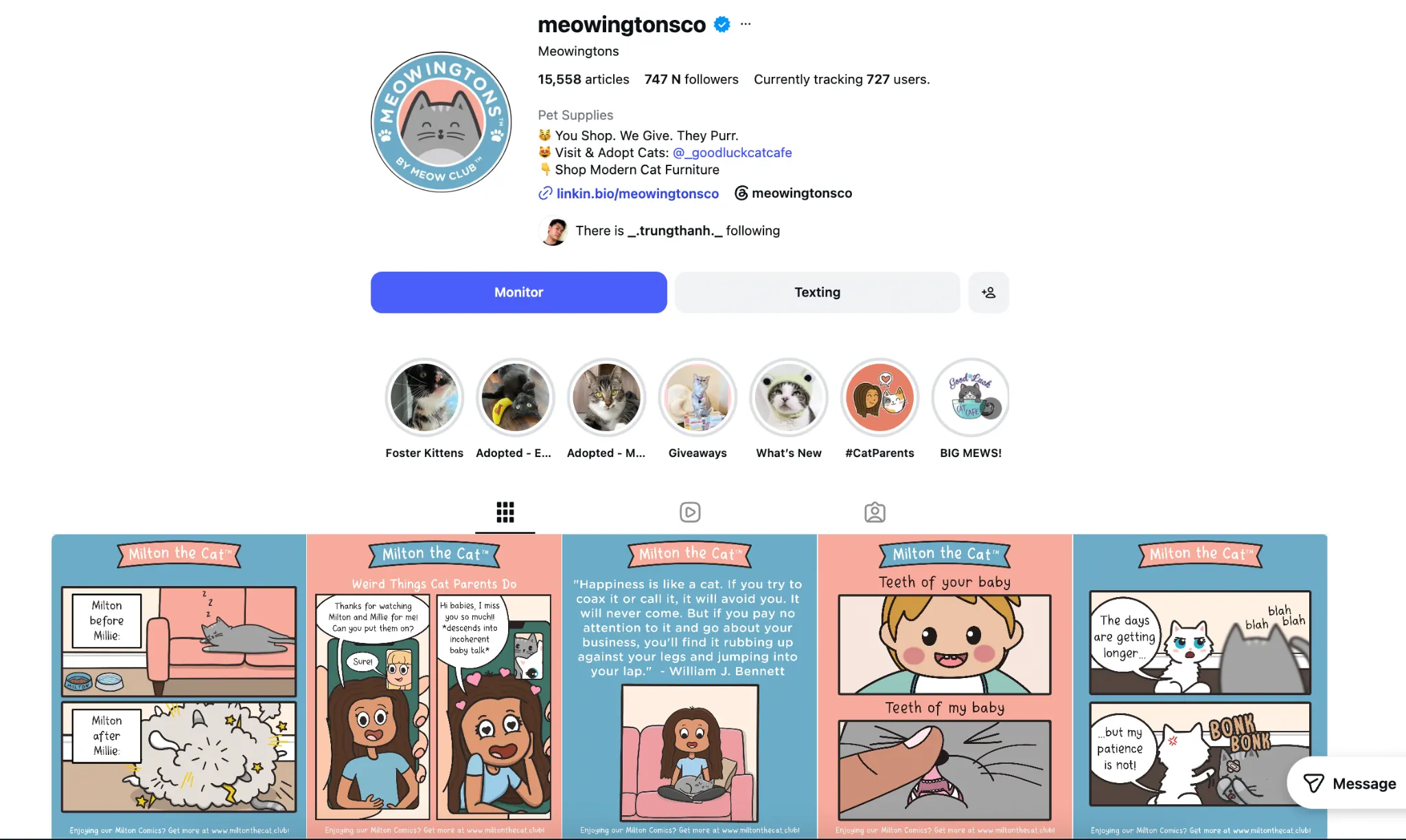 Meowingtons Instagram page