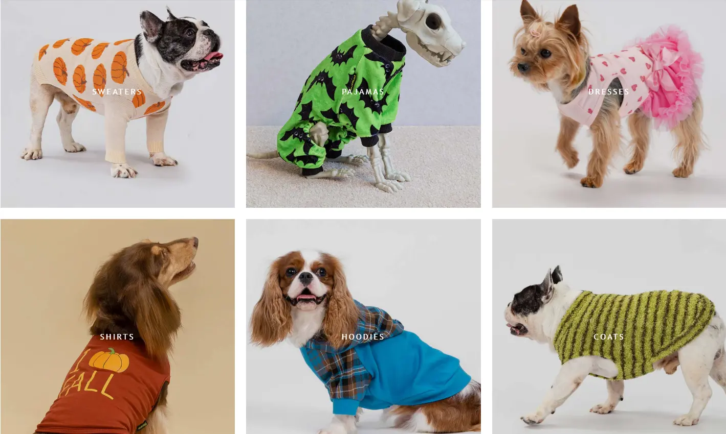 tank top for dog example