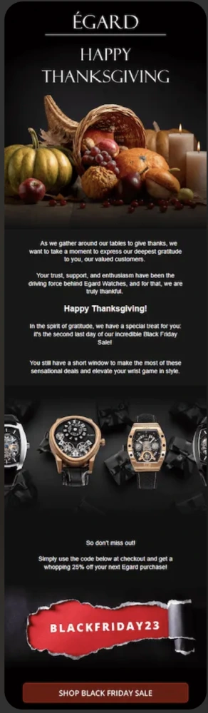 Thanksgiving Day email teasing Black Friday deals