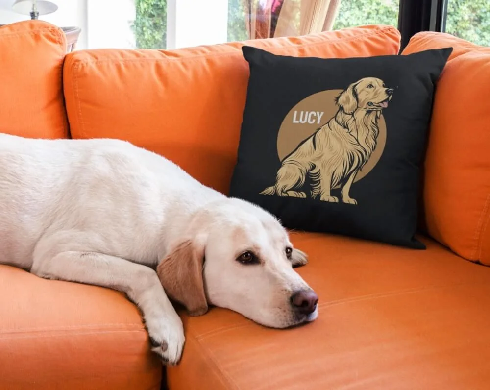 Throw Pillows product example